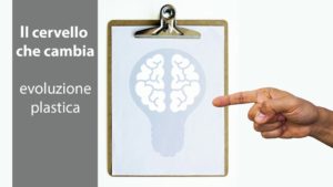 come funziona la neuroplasticità del sistema nervoso
