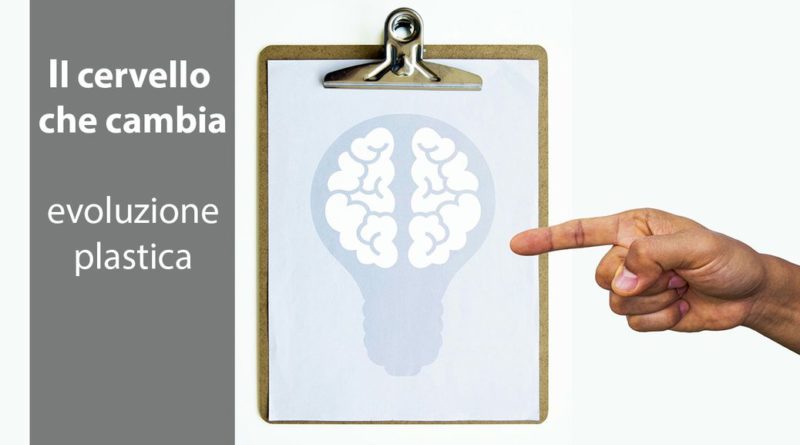 come funziona la neuroplasticità del sistema nervoso