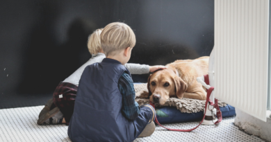 Autismo e Pet Therapy l'efficacia degli interventi assistiti con gli animali